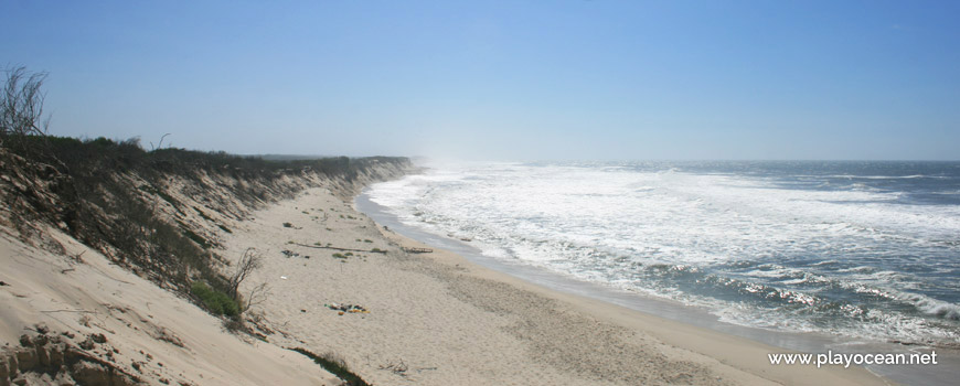 Praia de Mira (Sul)