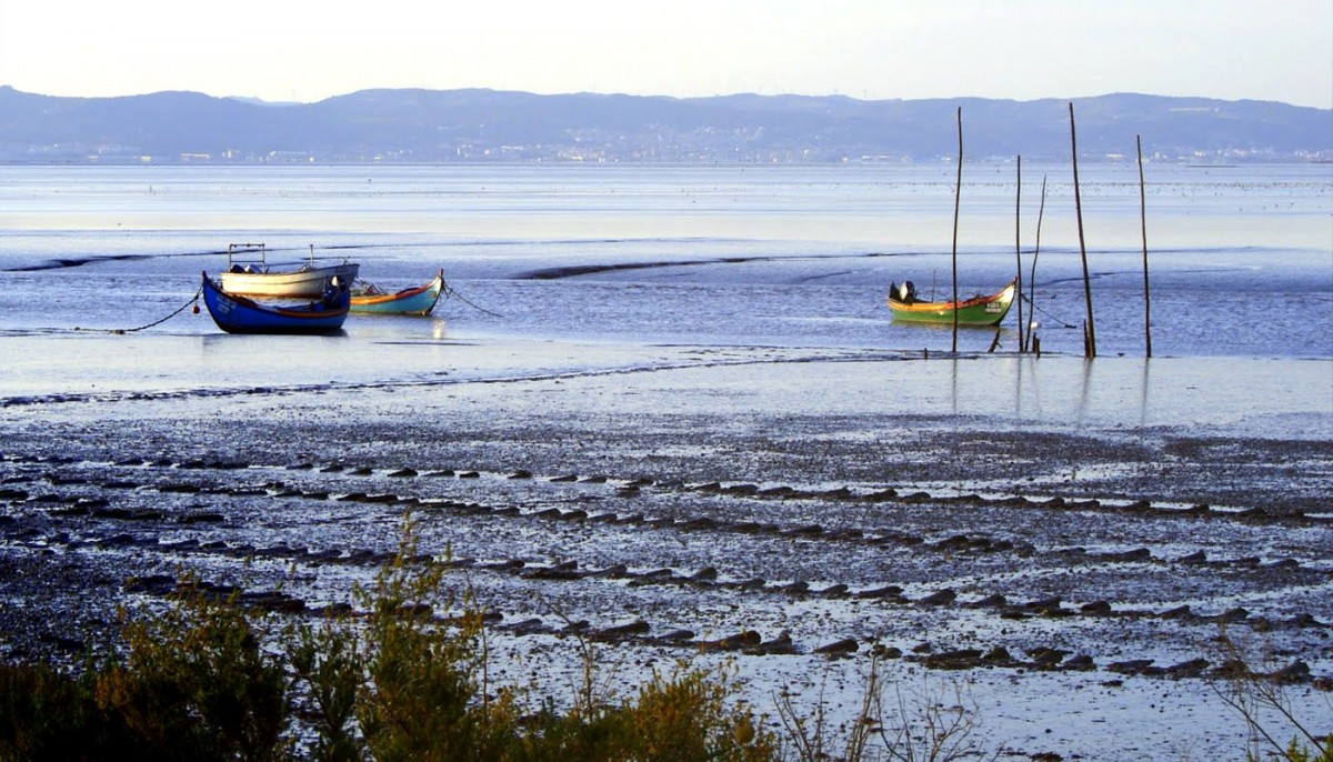 reserva-natural-estuario-tejo